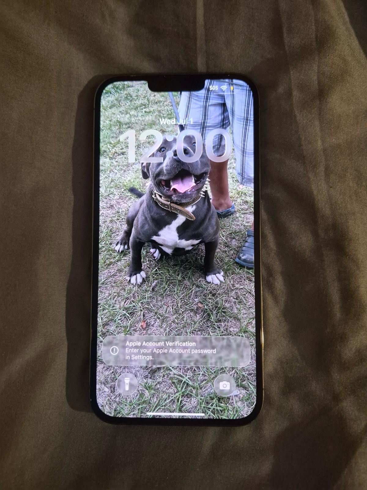 iPhone for sale 13 pro masc - Spring Hill, Florida - Mi Mercado
