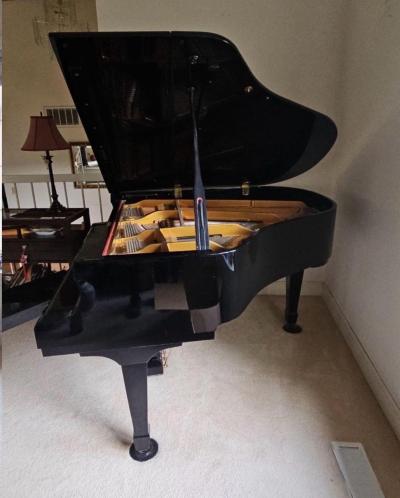 Young Chang G157 Satin Ebony Polish BabyGrand Piano 52 - Thumbnail 5